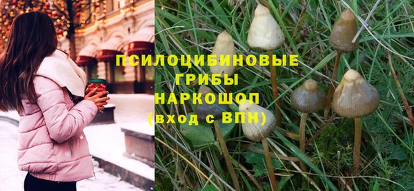 прущие крисы Абинск